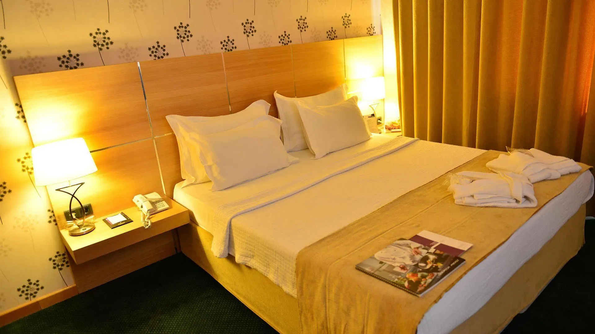 Hotel Anemon Grand Manisa Otel
